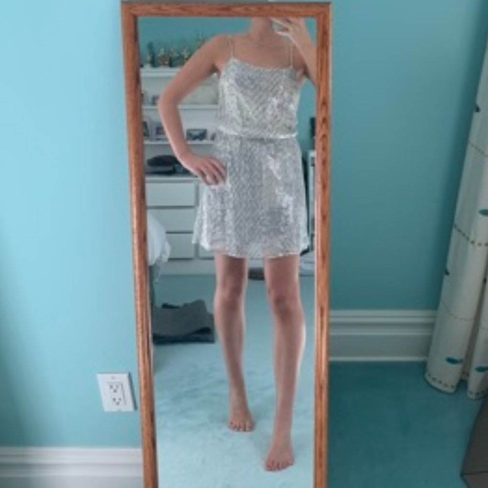 Parker Silver / Grey Sparkle dress - WOWZA!